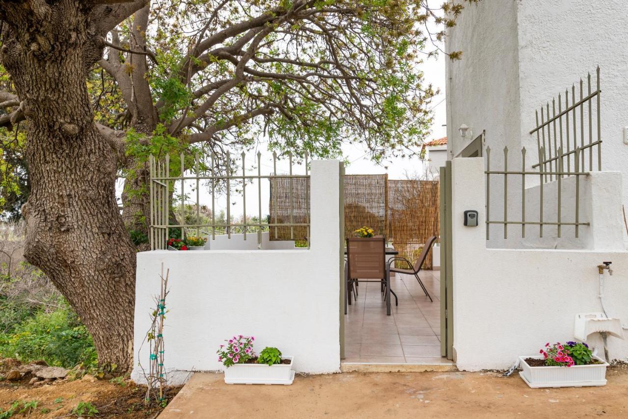 Traditional Suburbs Maisonette Kos Exteriör bild